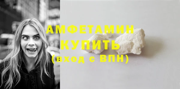 сатива Аркадак