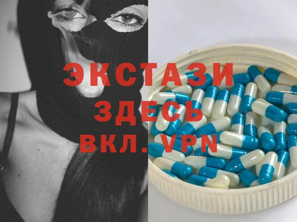 сатива Аркадак