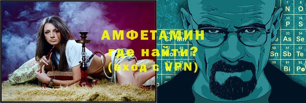 сатива Аркадак
