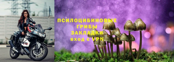 сатива Аркадак