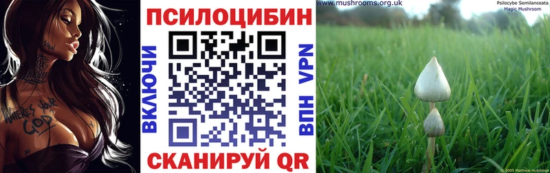 Галлюциногенные грибы мухоморы  Пудож 